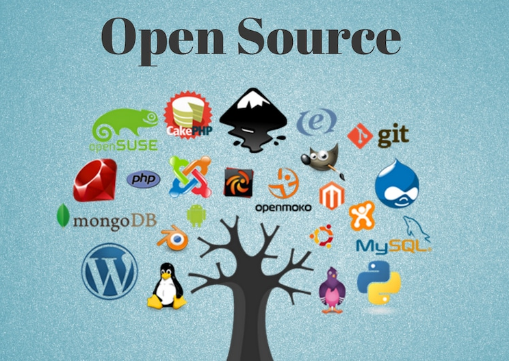 Understanding Open Source Software